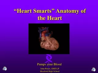 “Heart Smarts” Anatomy of the Heart