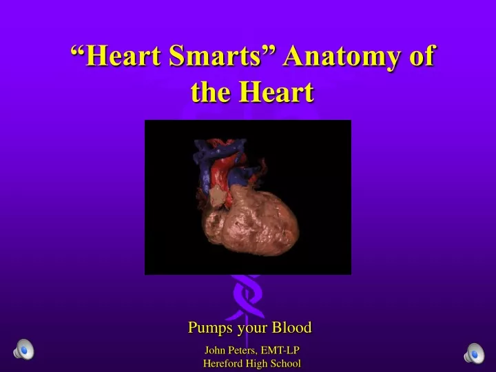 heart smarts anatomy of the heart