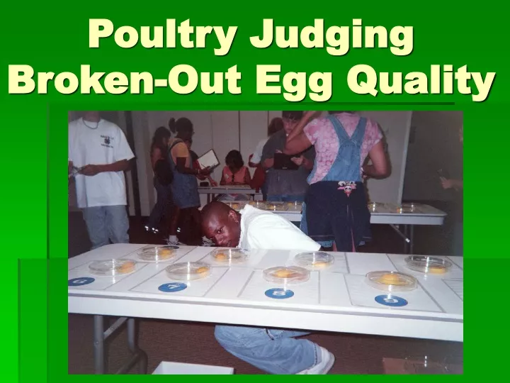 poultry judging broken out egg quality