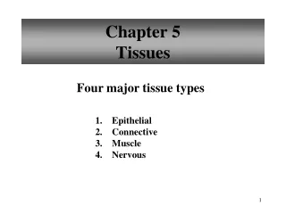 Chapter 5 Tissues