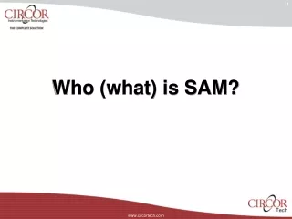 Who (what) is SAM?