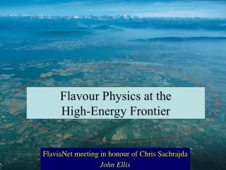 Flavour Physics at the  High-Energy Frontier