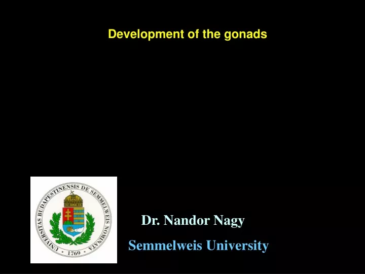 development of the gonads