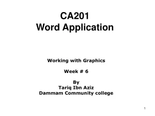CA201 Word Application