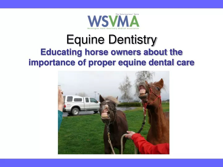 equine dentistry educating horse owners about the importance of proper equine dental care