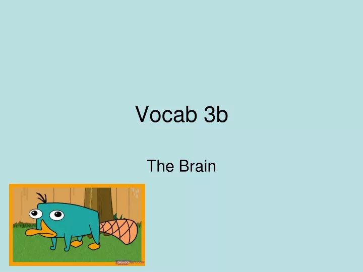 vocab 3b