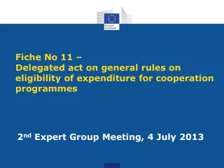 2 nd  Expert Group Meeting, 4 July 2013