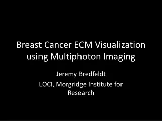 Breast Cancer ECM Visualization using Multiphoton Imaging