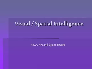 Visual / Spatial Intelligence