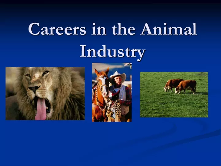 careers in the animal industry