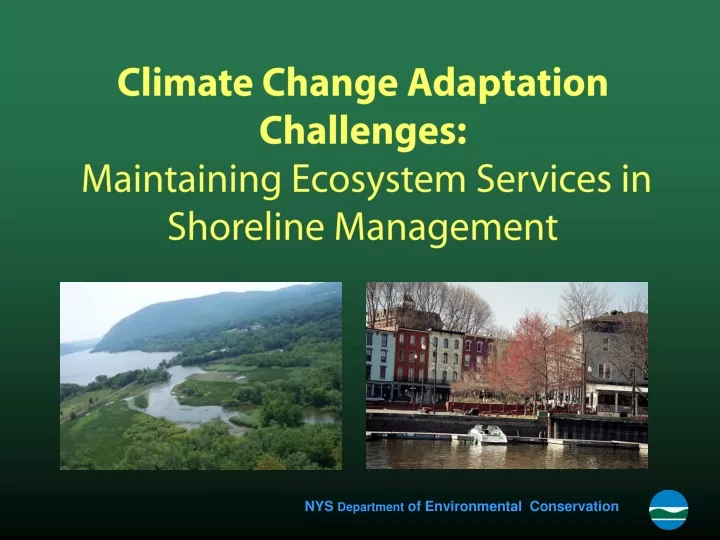 climate change adaptation challenges maintaining ecosystem services in shoreline management