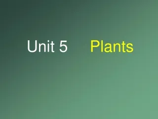 Unit 5      Plants