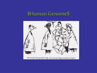 $Human Genome$