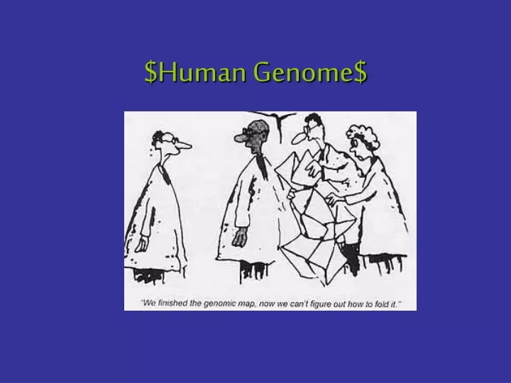 human genome