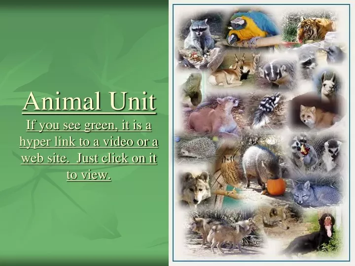 animal unit if you see green it is a hyper link to a video or a web site just click on it to view