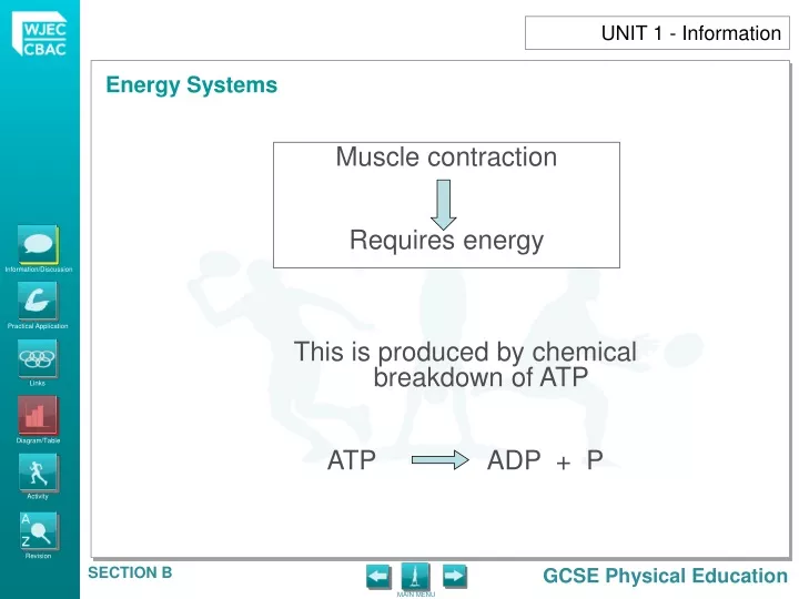 muscle contraction requires energy