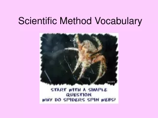 Scientific Method Vocabulary
