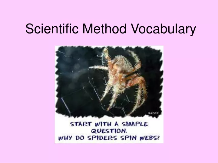 scientific method vocabulary