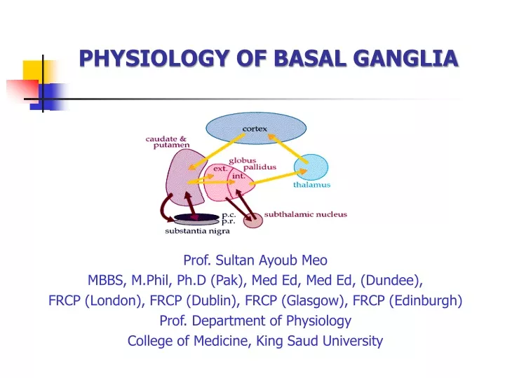 physiology of basal ganglia
