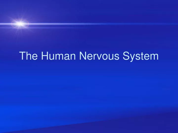 the human nervous system