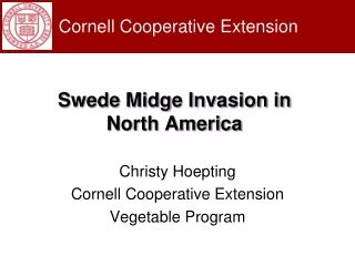 Swede Midge Invasion in  North America