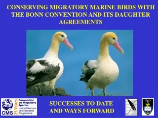 CONSERVING MIGRATORY MARINE BIRDS WITH  THE BONN CONVENTION AND ITS DAUGHTER AGREEMENTS