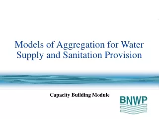Models of Aggregation for Water  Supply and Sanitation Provision