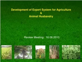 Development of Expert System for Agriculture  &amp;  Animal Husbandry