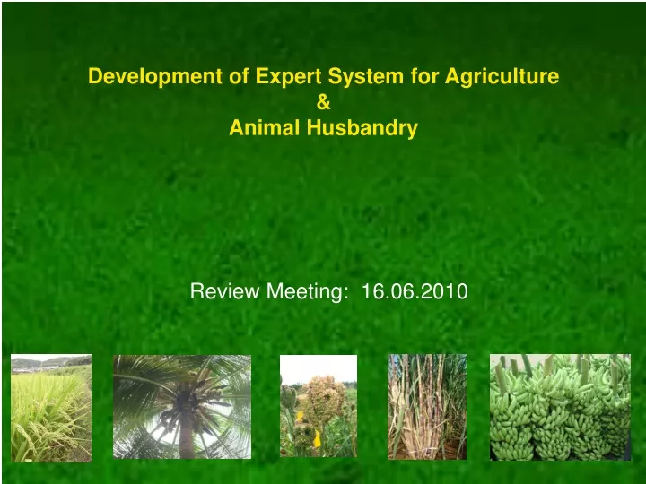 development of expert system for agriculture