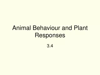 Animal Behaviour and Plant Responses