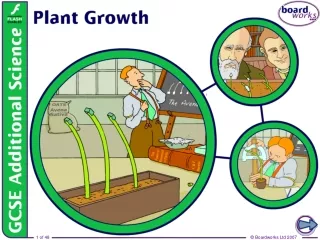 How are plants adapted to growth?