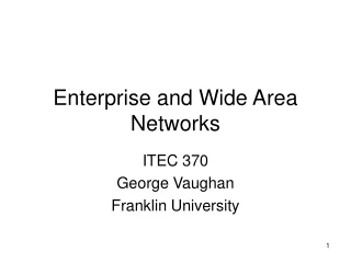 Enterprise and Wide Area Networks