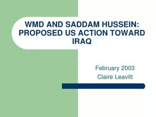 WMD AND SADDAM HUSSEIN: PROPOSED US ACTION TOWARD IRAQ