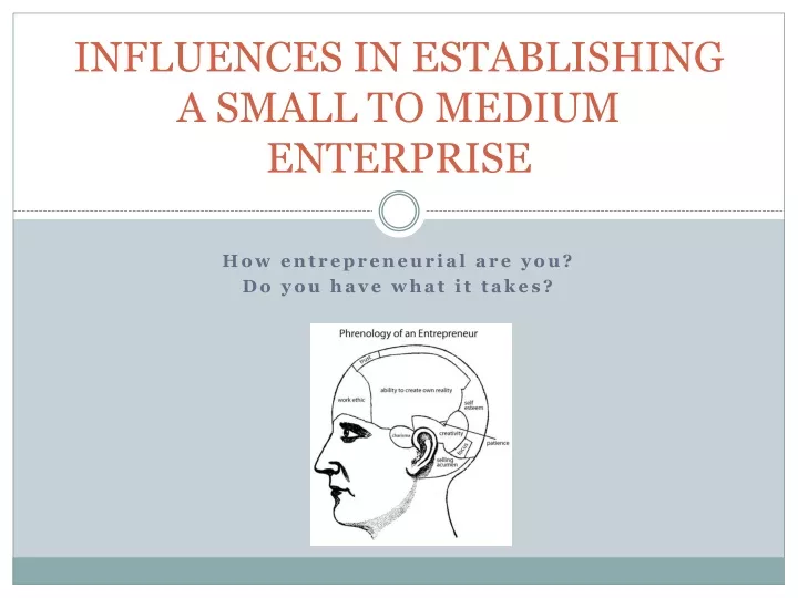 influences in establishing a small to medium enterprise