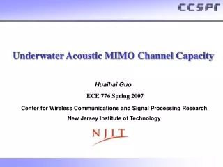 Underwater Acoustic MIMO Channel Capacity