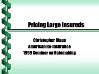 Pricing Large Insureds