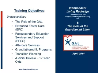 Training Objectives Understanding : The Role of the GAL Extended Foster Care (EFC)