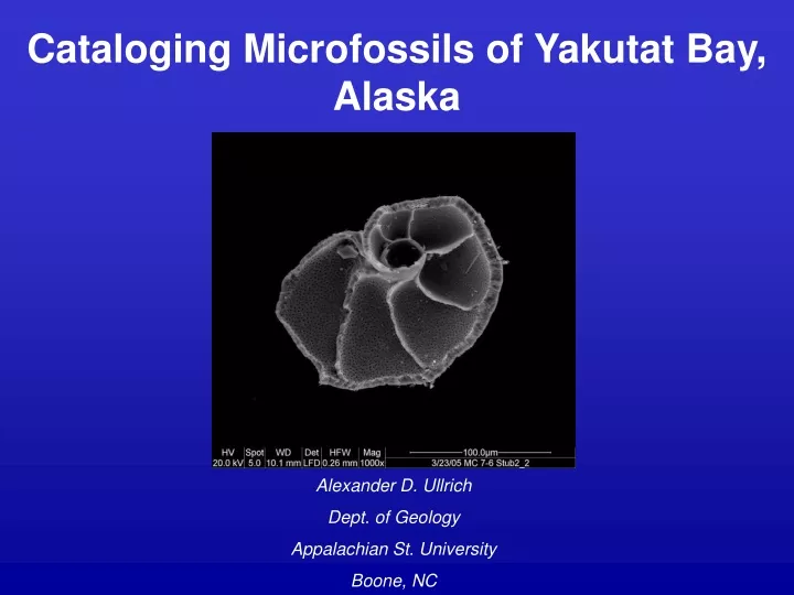cataloging microfossils of yakutat bay alaska