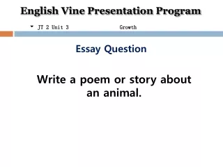 Essay Question