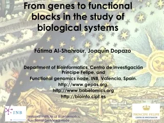 From genes to functional blocks in the study of biological systems