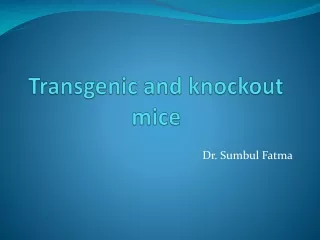 Transgenic and knockout mice