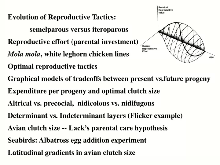 evolution of reproductive tactics semelparous