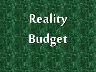 Reality Budget