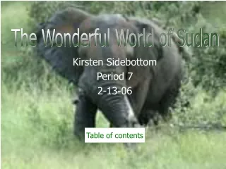 Kirsten Sidebottom Period 7 2-13-06