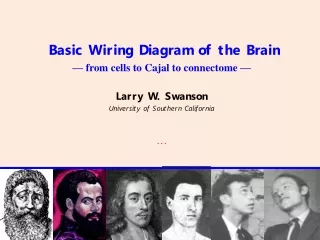 Basic Wiring Diagram of the Brain — from cells to Cajal to connectome — Larry W. Swanson