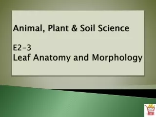 Animal, Plant &amp; Soil Science E2-3 Leaf Anatomy and Morphology