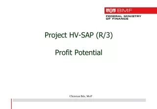 Project HV-SAP (R/3) Profit Potential
