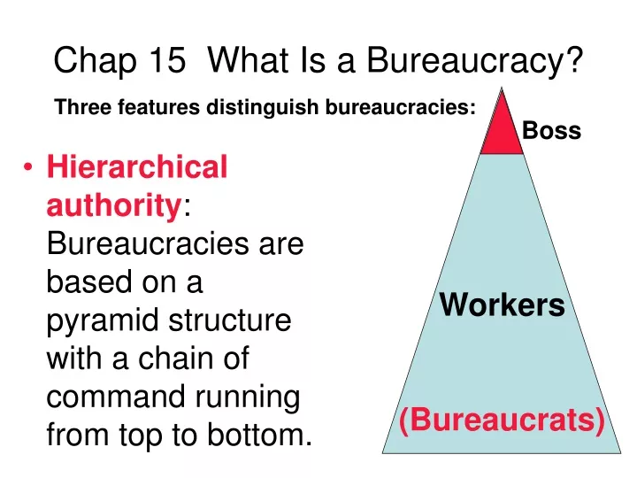 chap 15 what is a bureaucracy