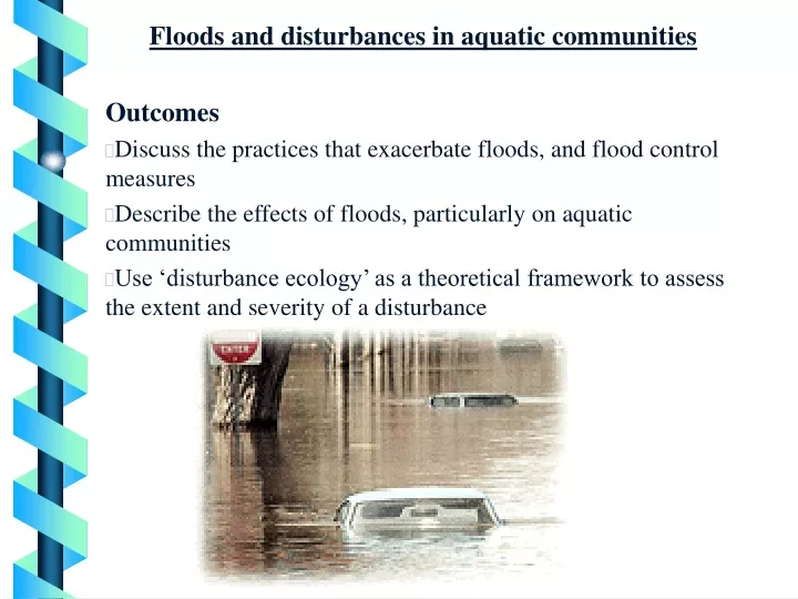 floods and disturbances in aquatic communities