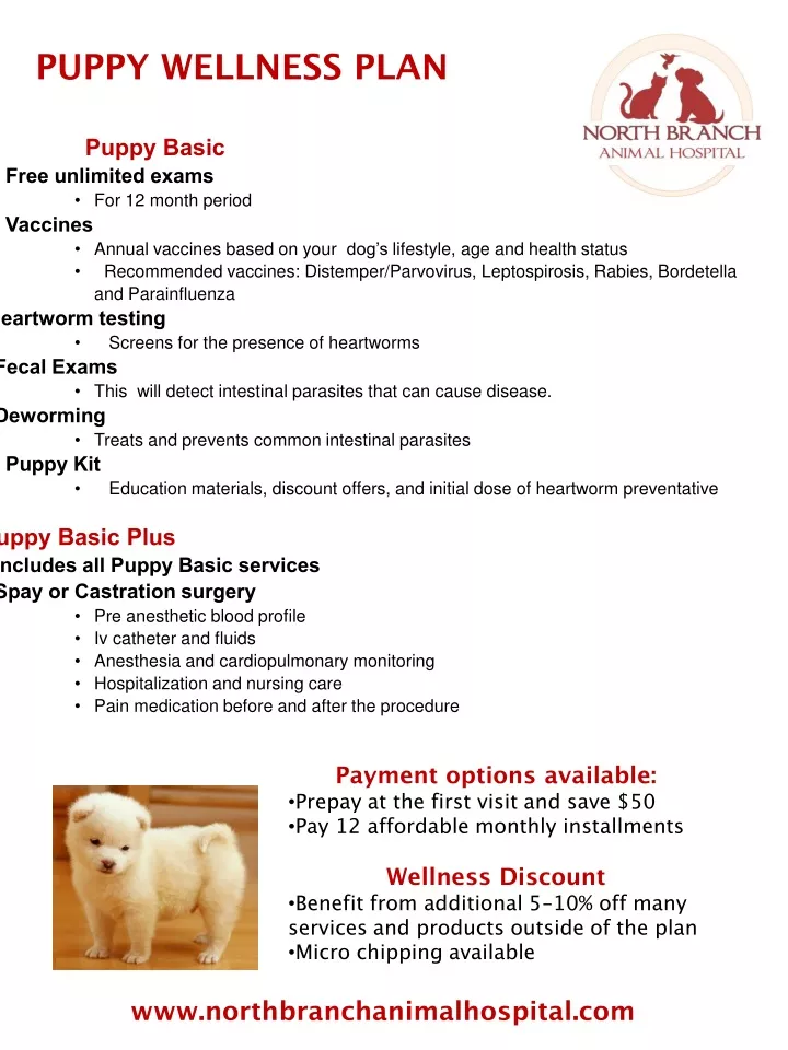 puppy wellness plan